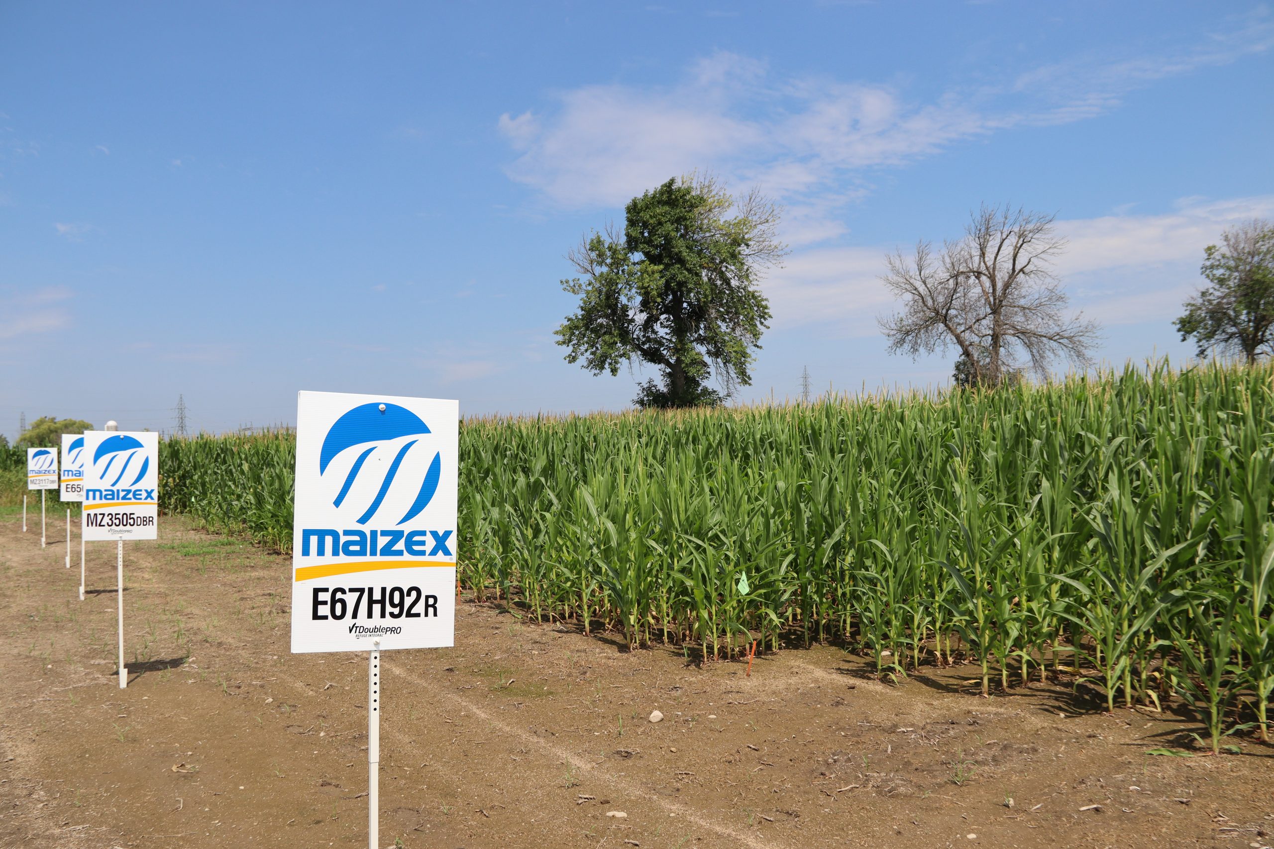 Field Day | Les cultures Dubuc image