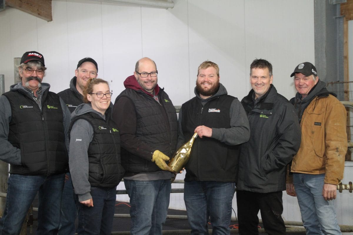  alt="Dîner des Fêtes à la Ferme Soesbergen"