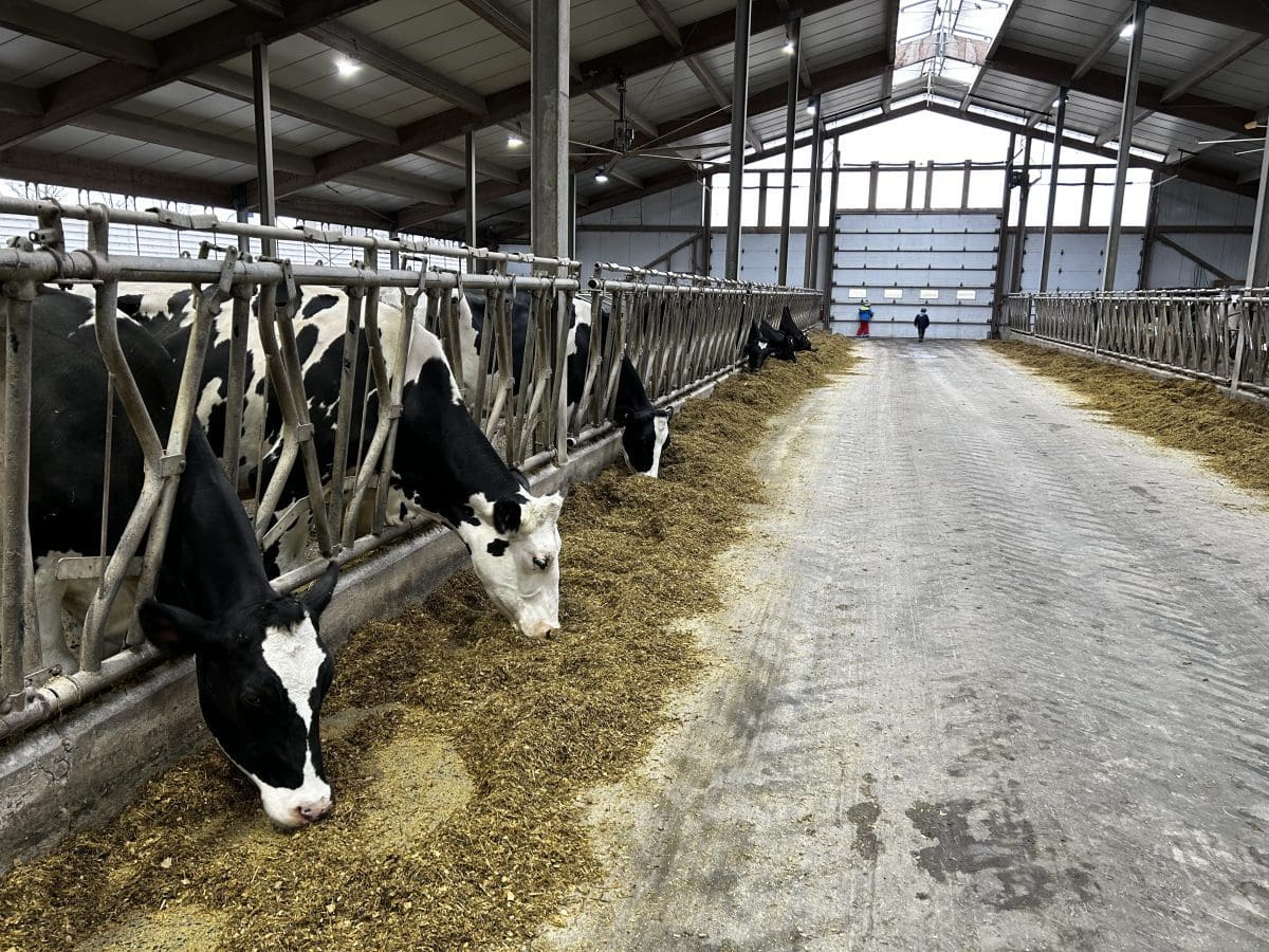  alt="Dîner des Fêtes à la Ferme Soesbergen"