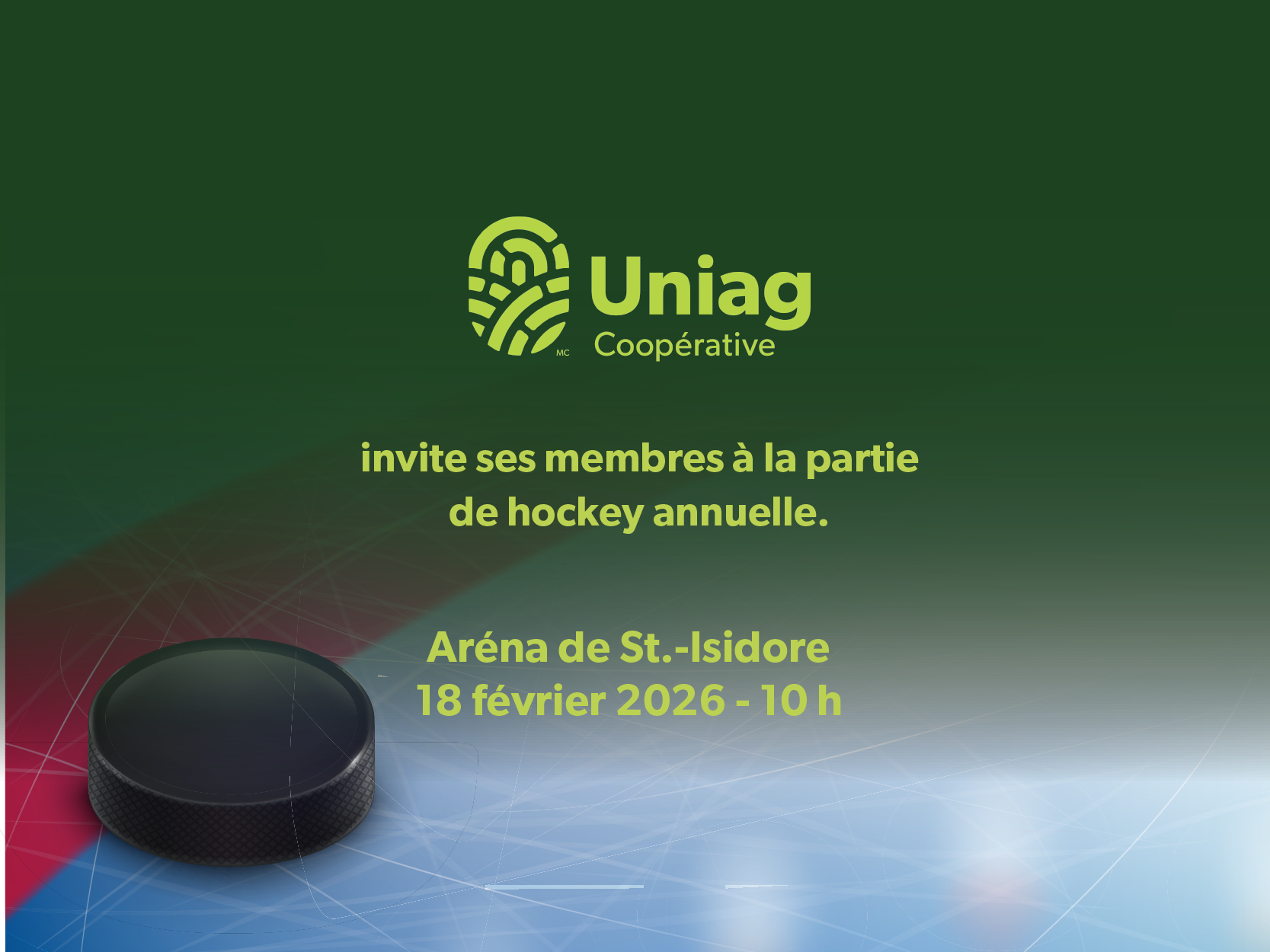 Partie de hockey – St.-Isidore, ON image